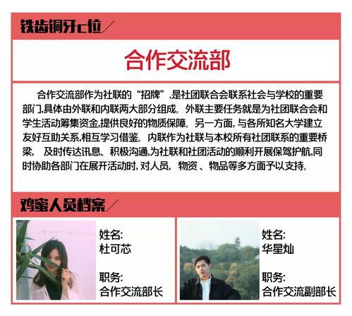 最新新闻大爆料,最新新闻大爆料，震惊业界内幕曝光！  第3张